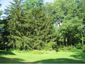 7 Cooper Road Apalachin, NY 13732 - Photo 14 of 16 Gallery Image 14