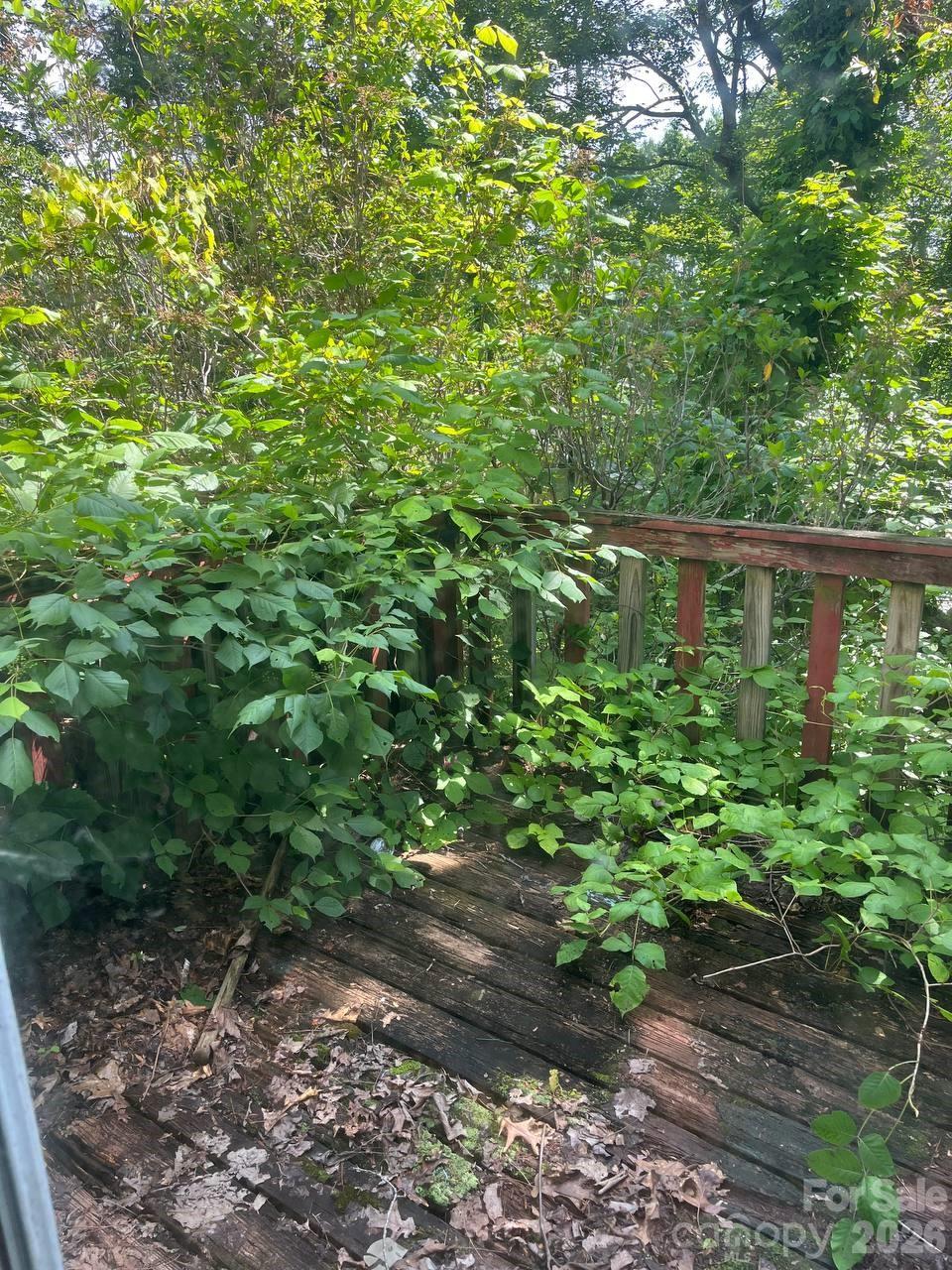 7882 Kinglet Road Connelly Springs, NC 28612 - Photo 13 of 31