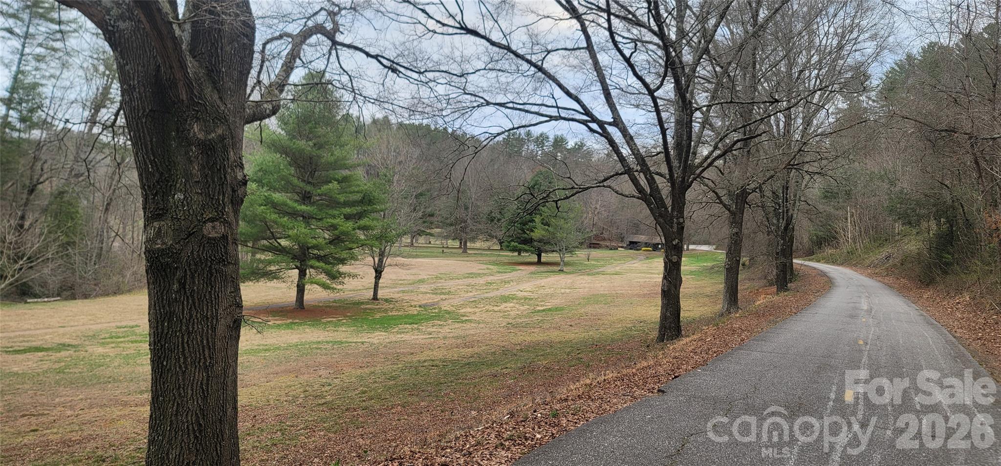 7882 Kinglet Road Connelly Springs, NC 28612 - Photo 32 of 40 a view of a yard with trees