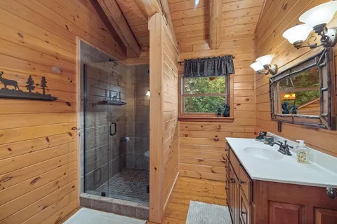 a bathroom with a sink and a shower