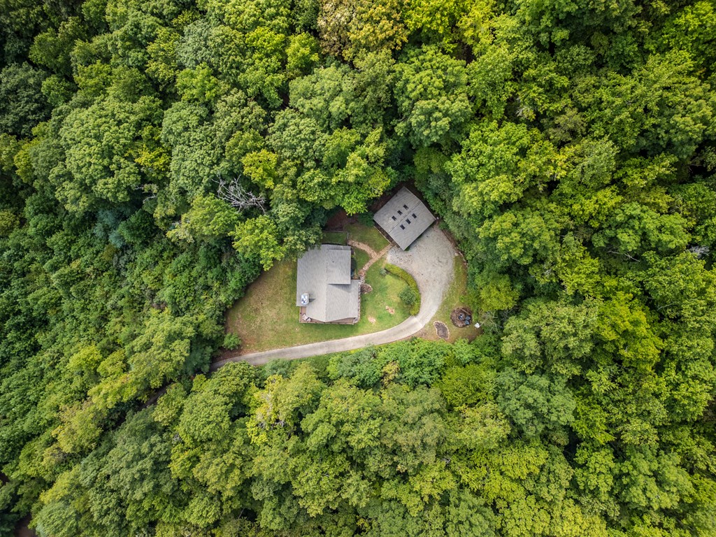 209 Stavanger Road Morganton, GA 30560 - Photo 34 of 39 a house view with a backyard space
