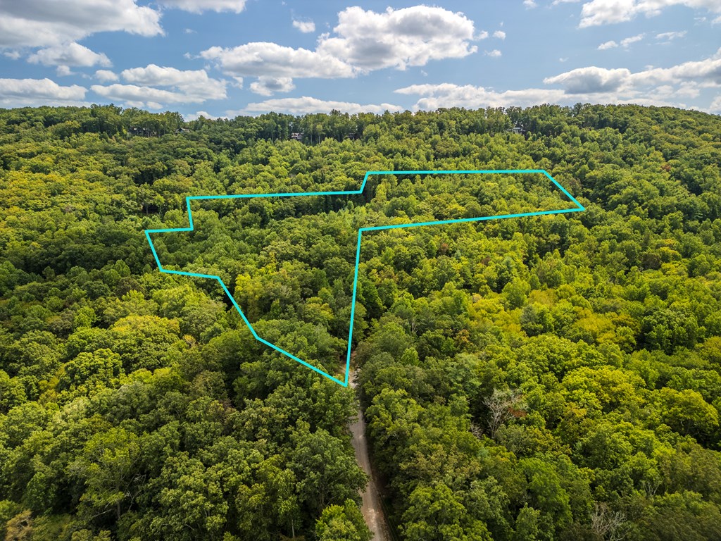 209 Stavanger Road Morganton, GA 30560 - Photo 36 of 39 a view of a city