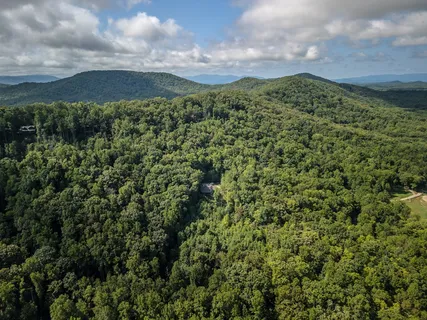 a view of a green field with lots of bushes