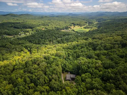 a view of a lush green forest with lots of trees