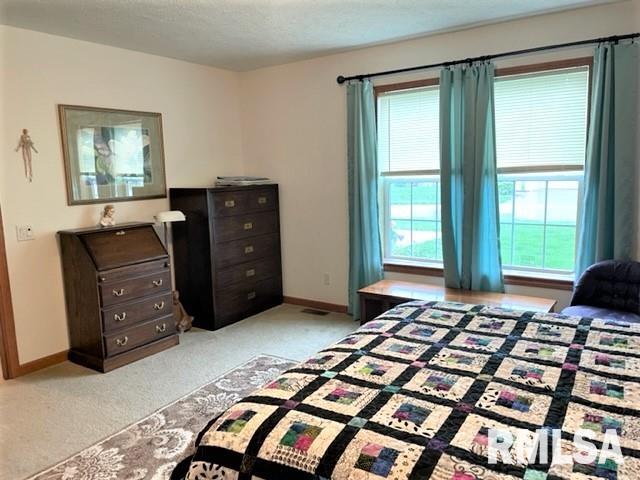 2800 Vía Rosso, Unit 532 Springfield, IL 62703 - Photo 23 of 37