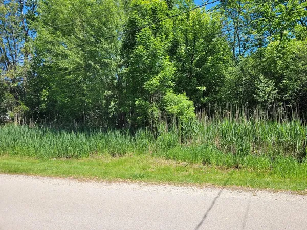 a view of a yard with a tree