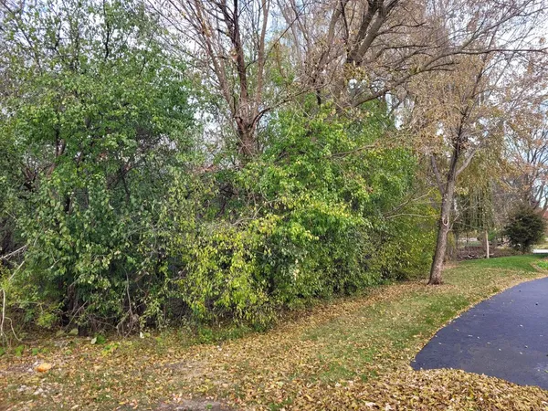 a view of a park with large trees