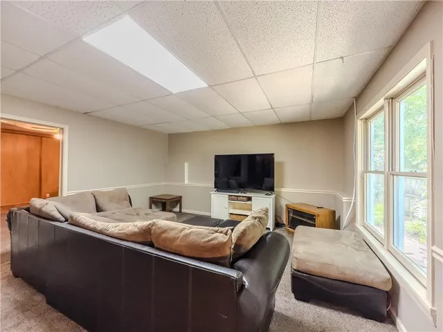 a view of a yard with plants and tree