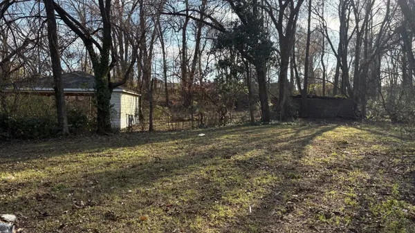 a view of backyard with green space