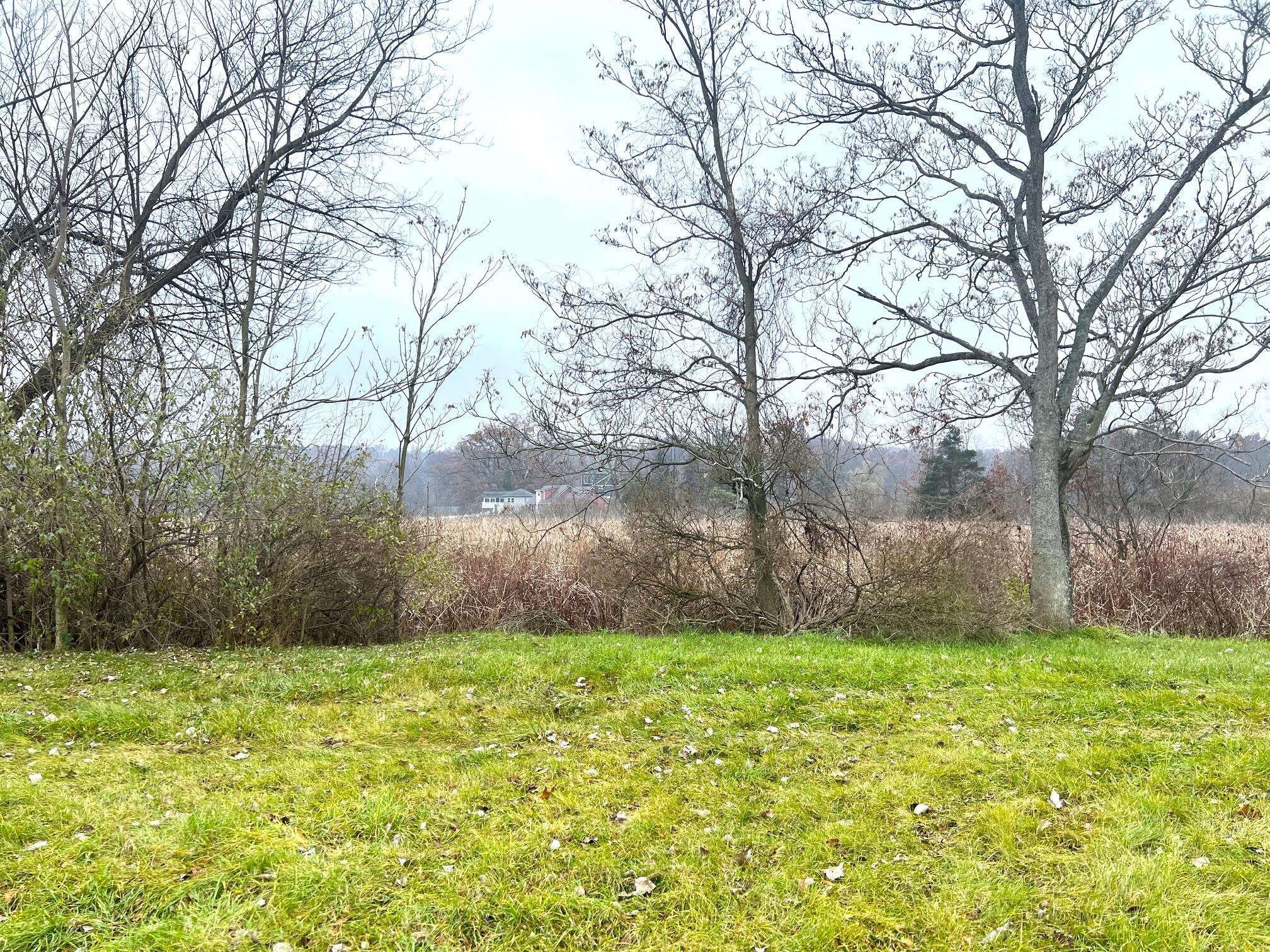 66335 North Centerville Road Sturgis, MI 49091 - Photo 14 of 18 Lot