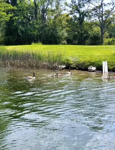 $120,000 | 66335 North Centerville Road, Sturgis, MI 49091