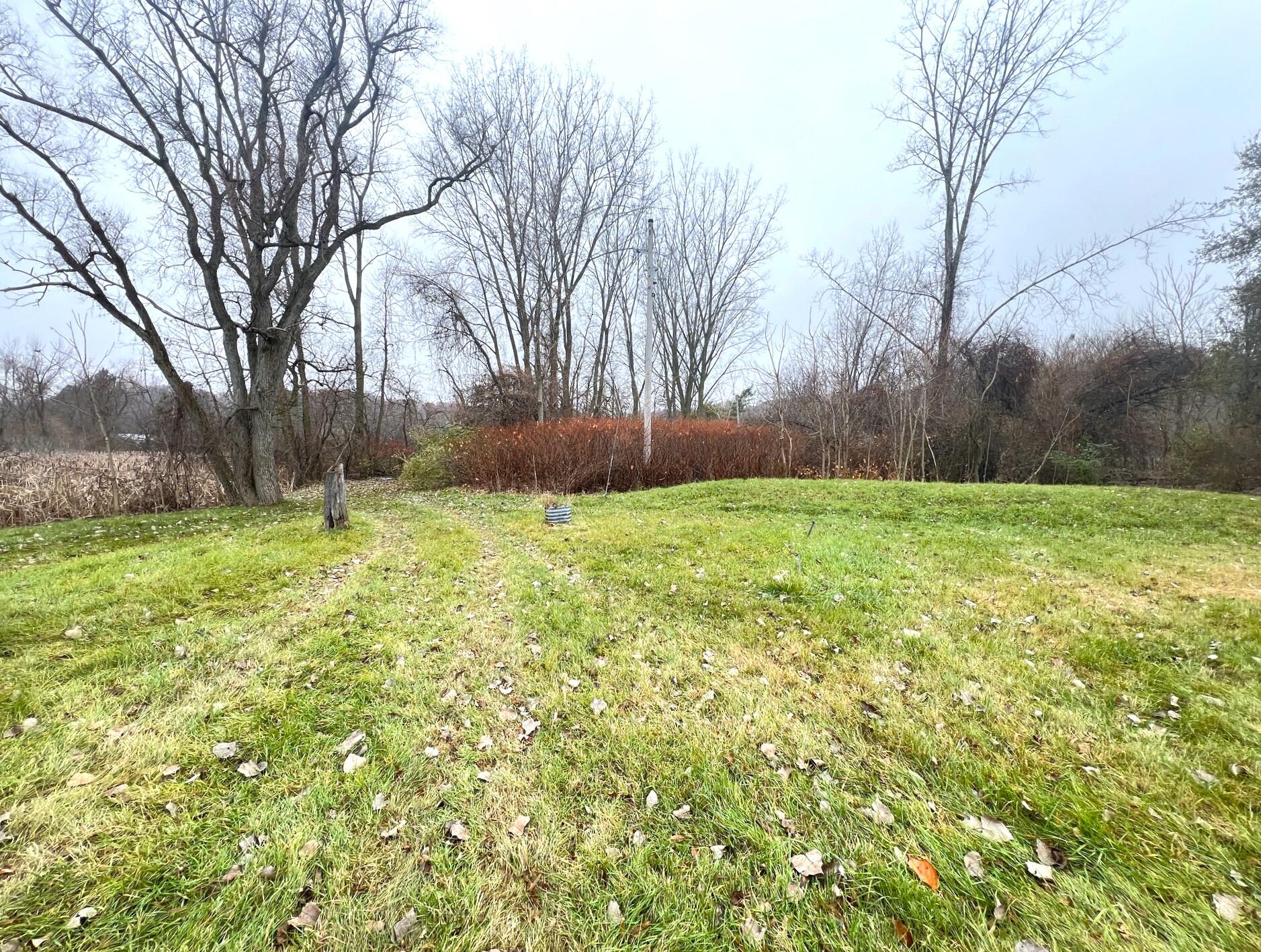 66335 North Centerville Road Sturgis, MI 49091 - Photo 6 of 18 Lake Lot