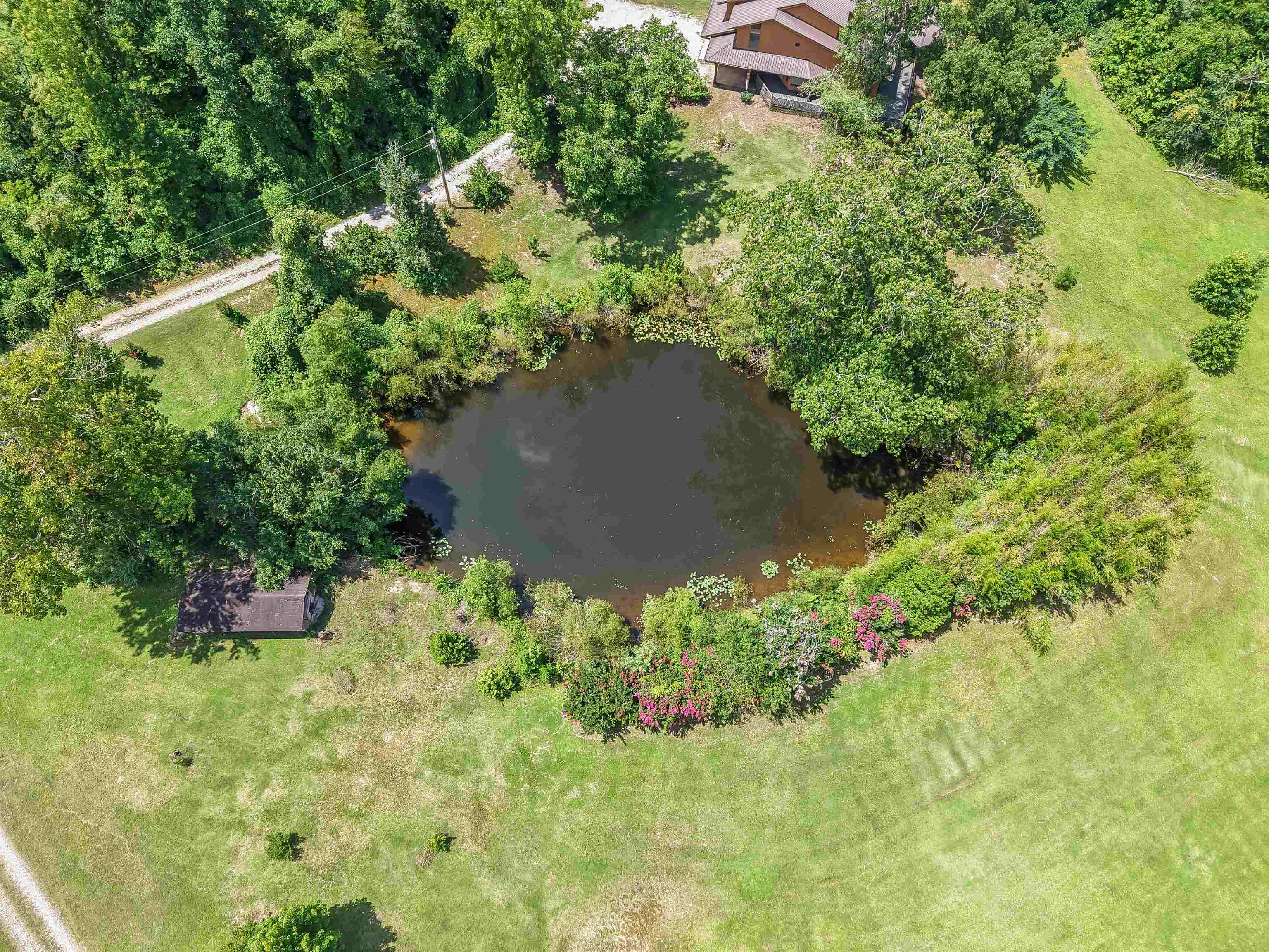 2380 Dunaway Road Selmer, TN 38375 - Photo 4 of 39 Private pond surrounded by mature trees and lush greenery