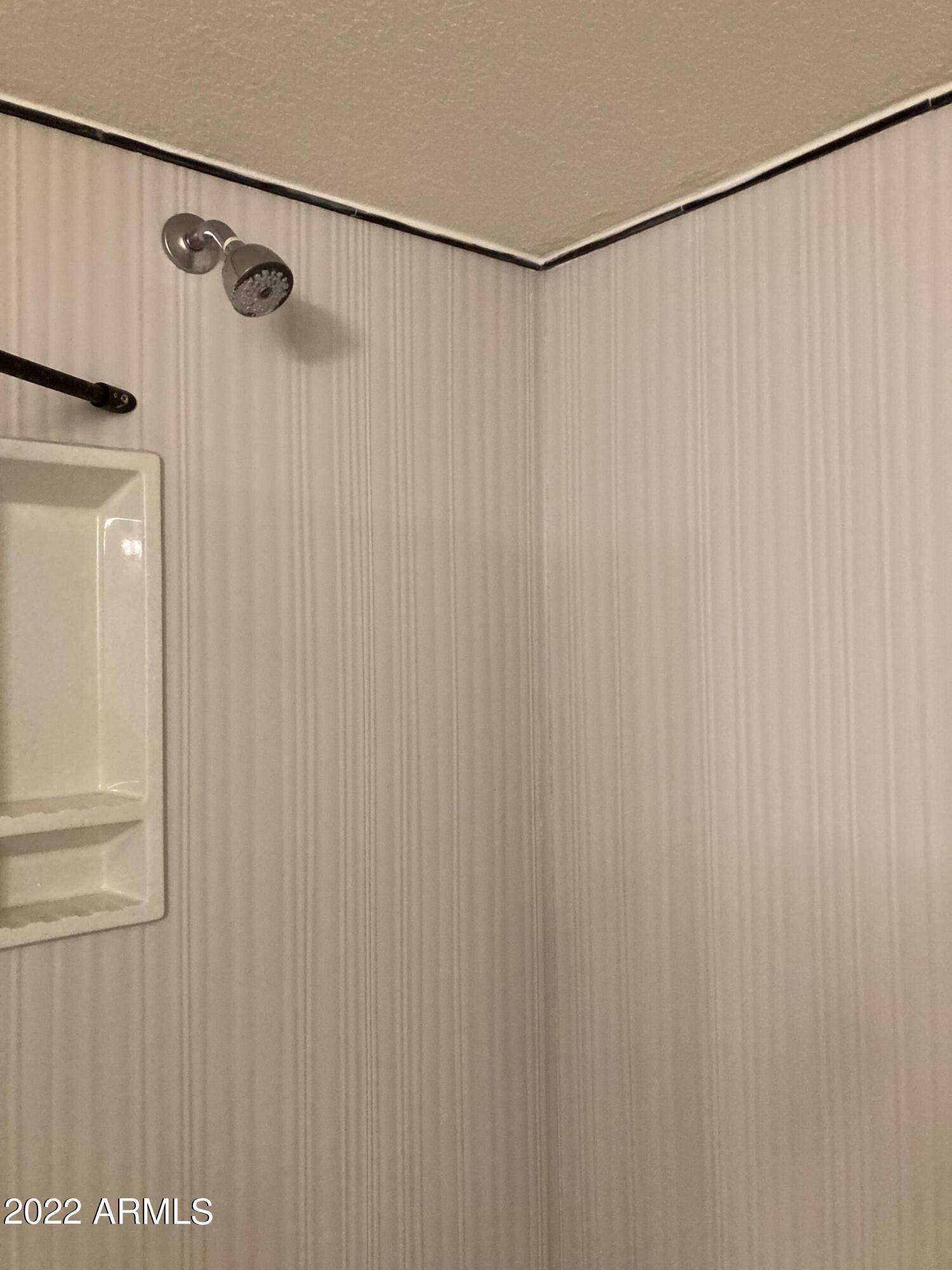 1340 North Recker Road, Unit 244 Mesa, AZ 85205 - Photo 17 of 34 SHOWER