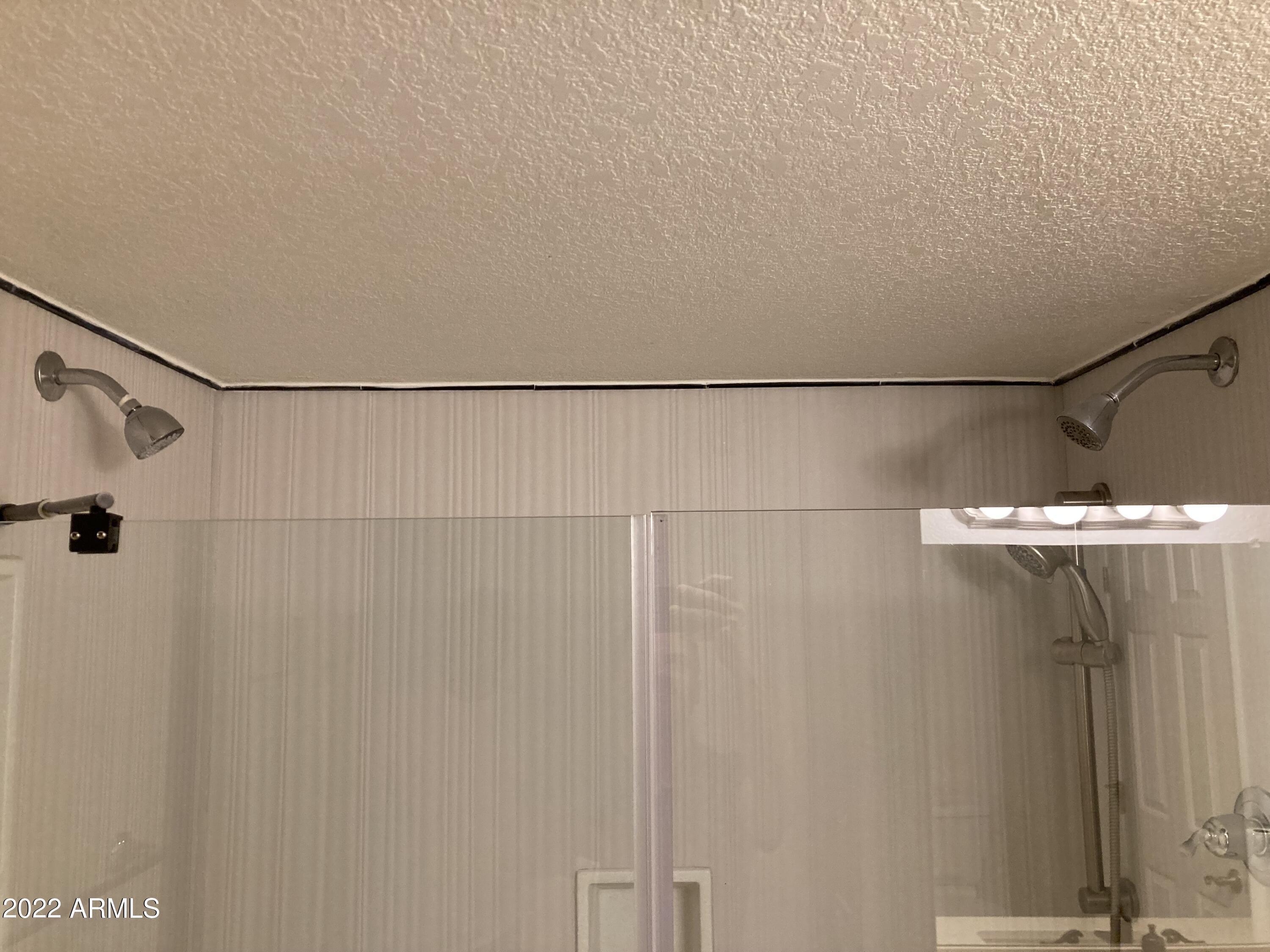 1340 North Recker Road, Unit 244 Mesa, AZ 85205 - Photo 18 of 34 MULT SHOWER HEADS