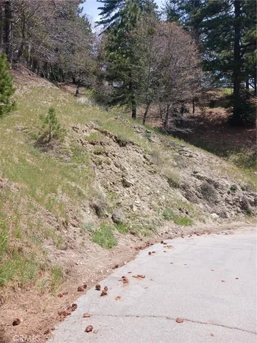 a view of a yard with a tree