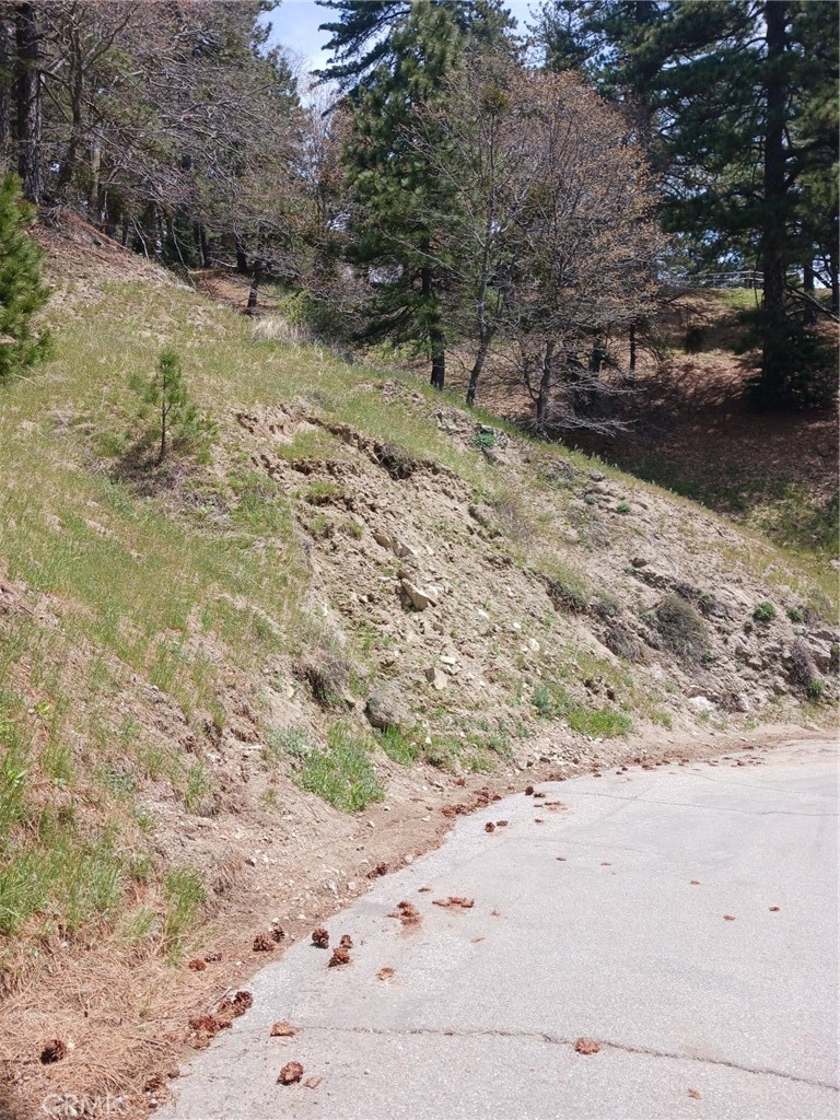 a view of a yard with a tree