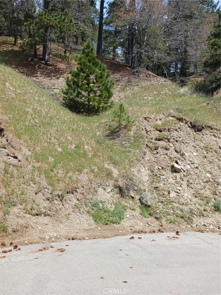 21858 Fern Canyon Road Cedarpines Park, CA 92322 - Photo 3 of 5 a view of a road with a yard