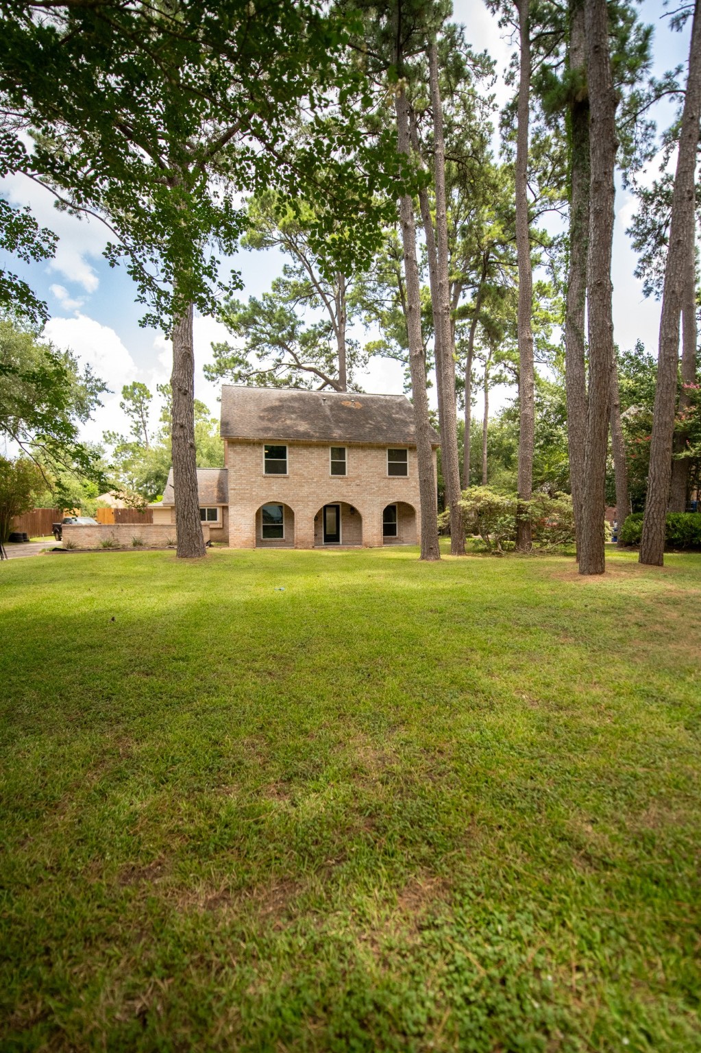 a view of a big yard with large trees