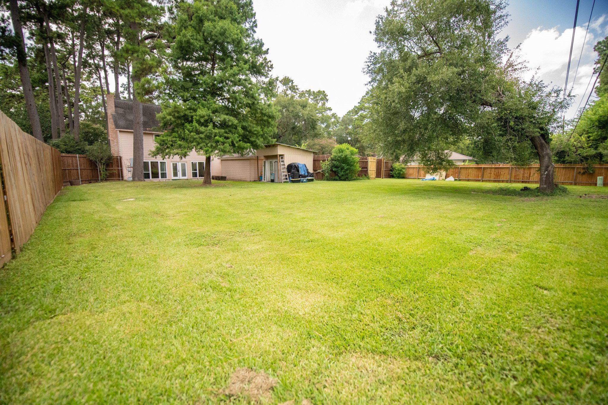 17106 Spring Creek Forest Drive Spring, TX 77379 - Photo 46 of 50 a front view of a house with a yard and trees