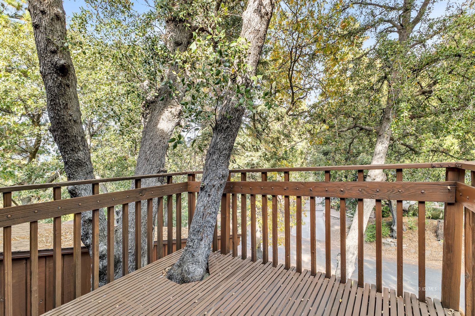 25281 Deer Path Road Idyllwild, CA 92549 - Photo 13 of 37 Untitled