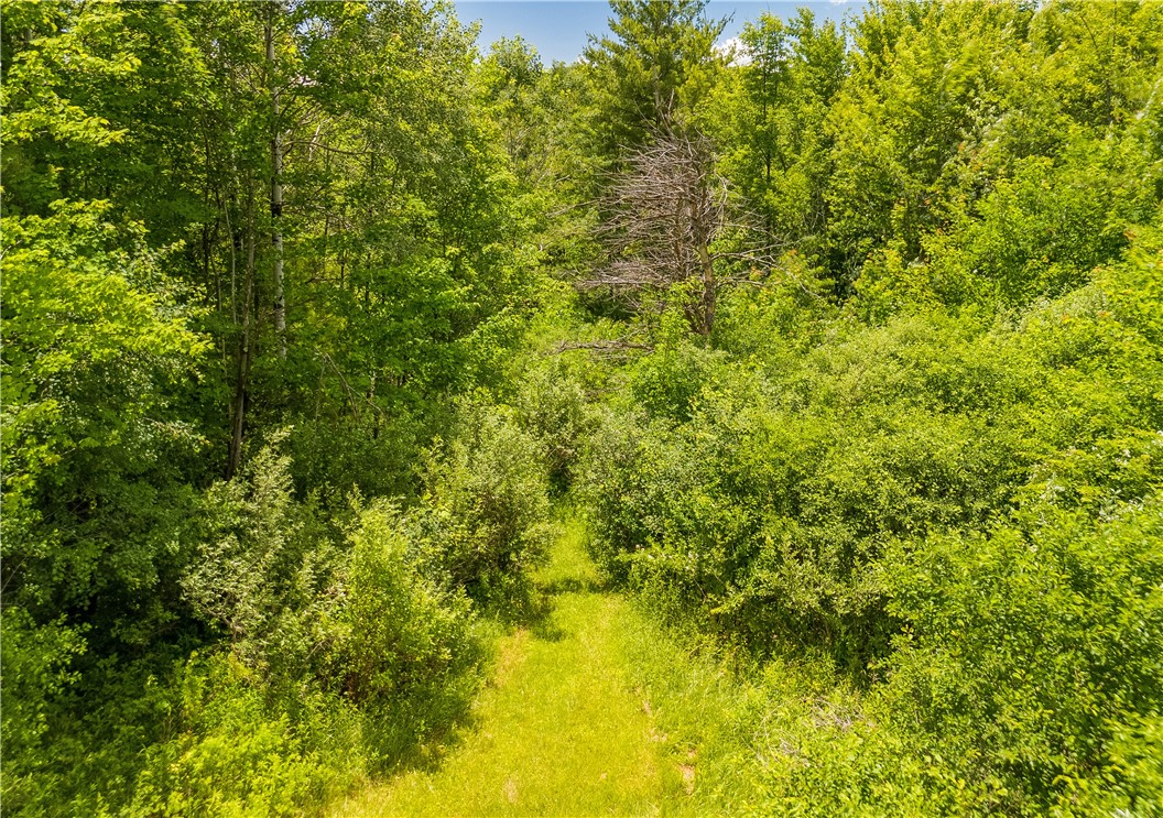 1970 Hornby Road Orange, NY 14812 - Photo 15 of 38