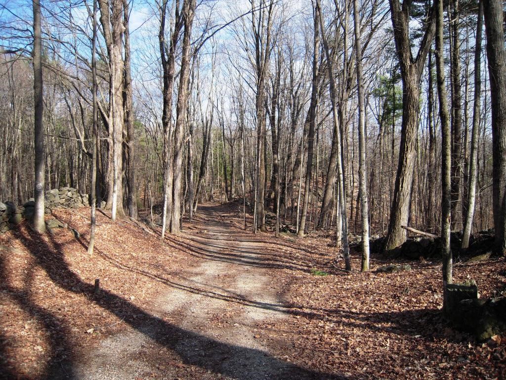 160 Lane Road Chester, NH 03036 - Photo 28 of 31