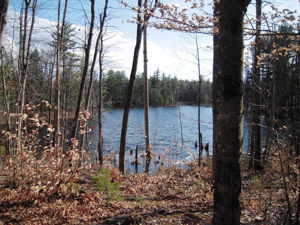 160 Lane Road Chester, NH 03036 - Photo 29 of 31