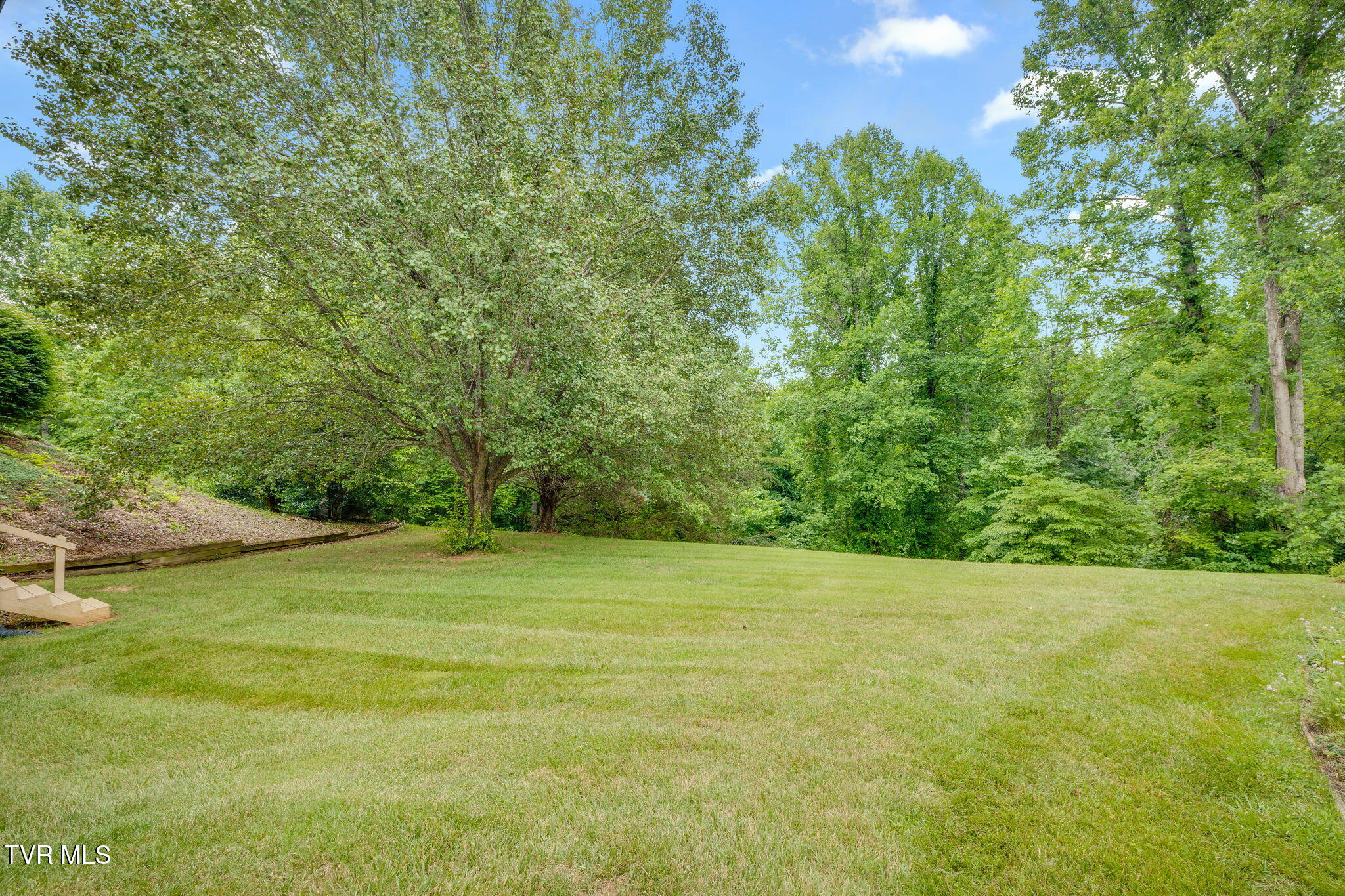 815 Quail Ridge Court Elizabethton, TN 37643 - Photo 6 of 40 040