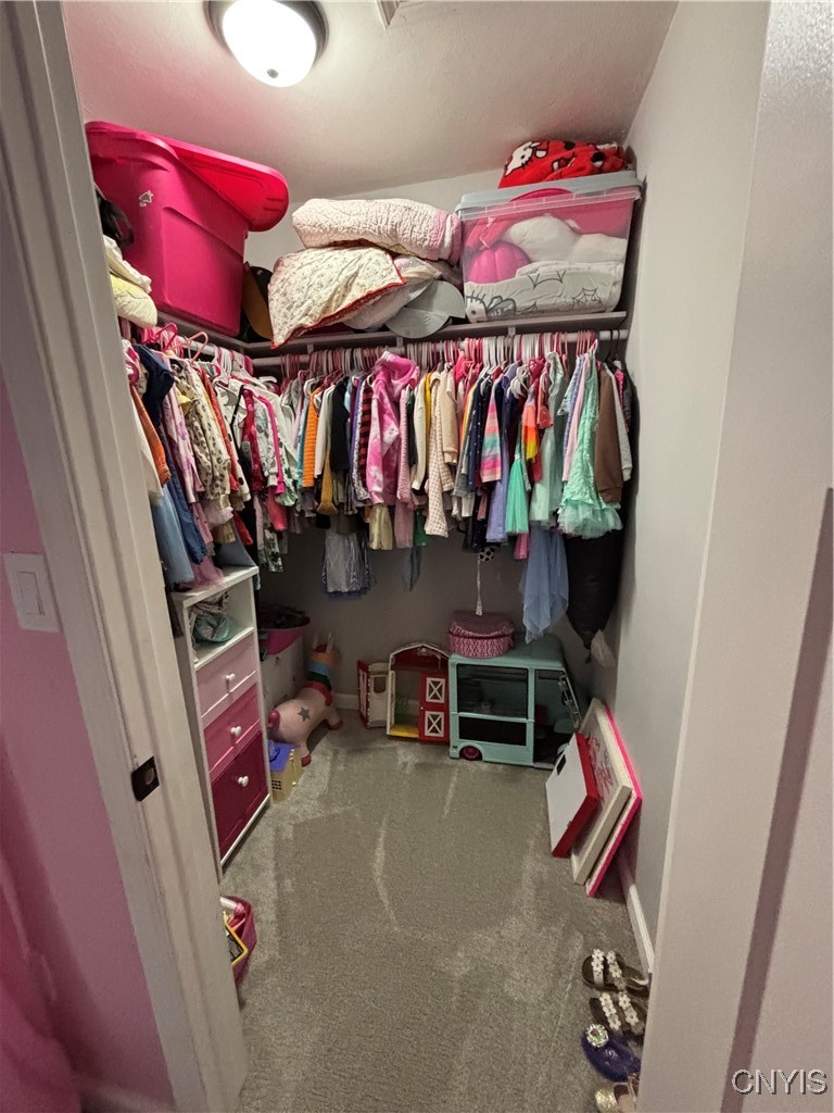 4485 Apulia Road De Witt, NY 13078 - Photo 15 of 27