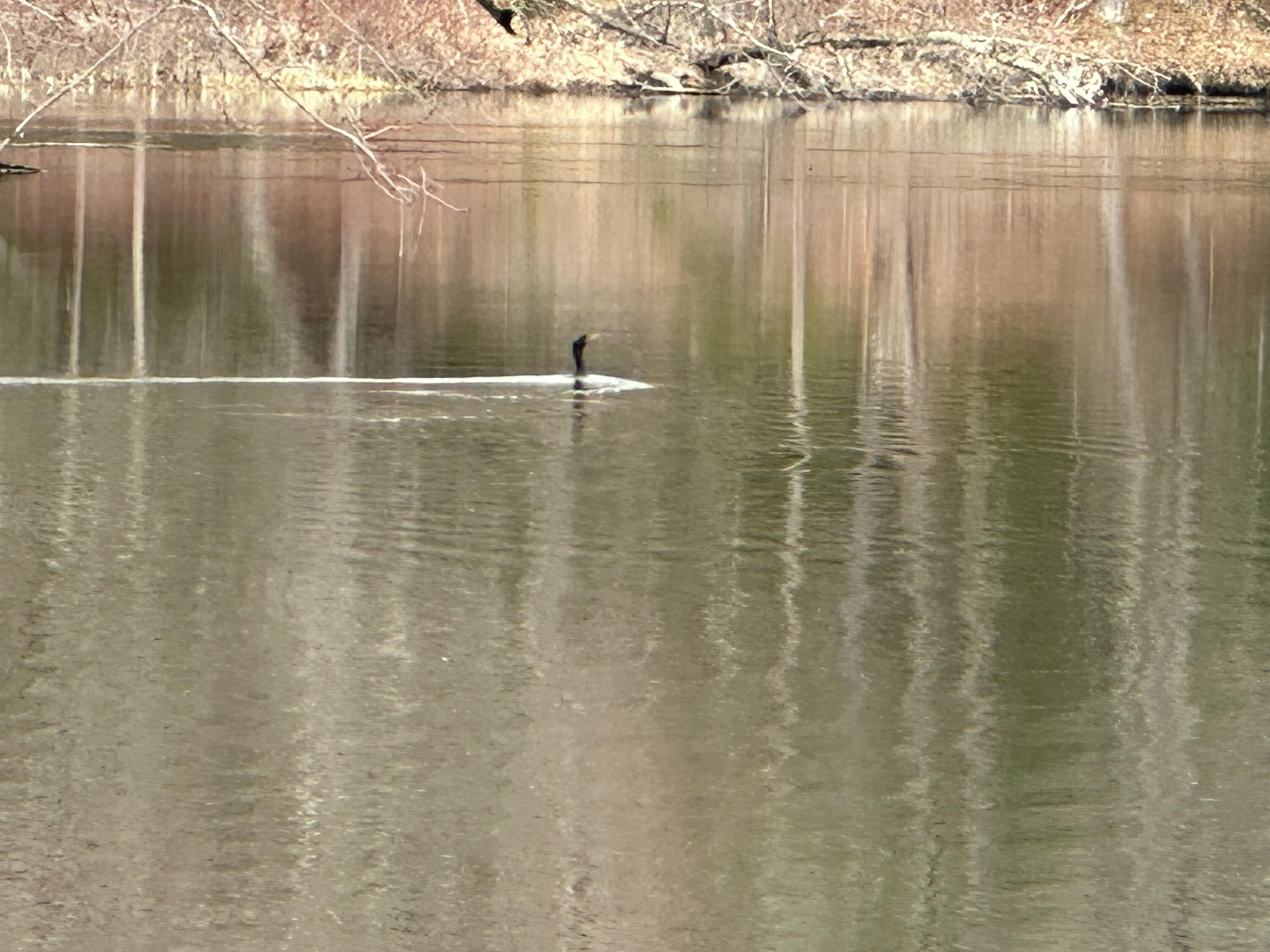 60 Mechanic Falls Road Poland, ME 04274 - Photo 48 of 58 C30FDF57-062B-49E7-B8D9-0144962AC295