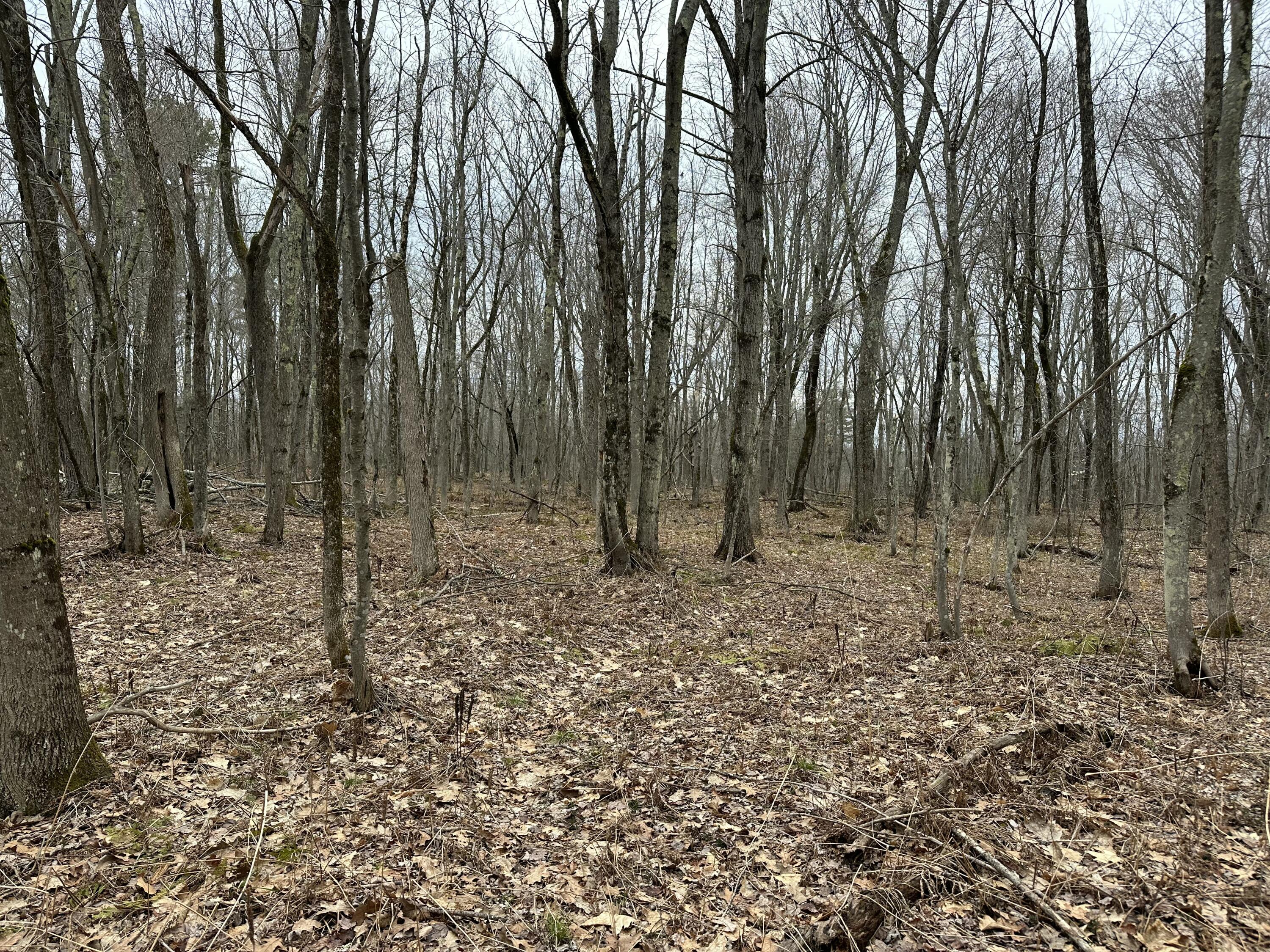 60 Mechanic Falls Road Poland, ME 04274 - Photo 52 of 58 4DDBF43B-01DB-4074-B95E-AF98F6562B34