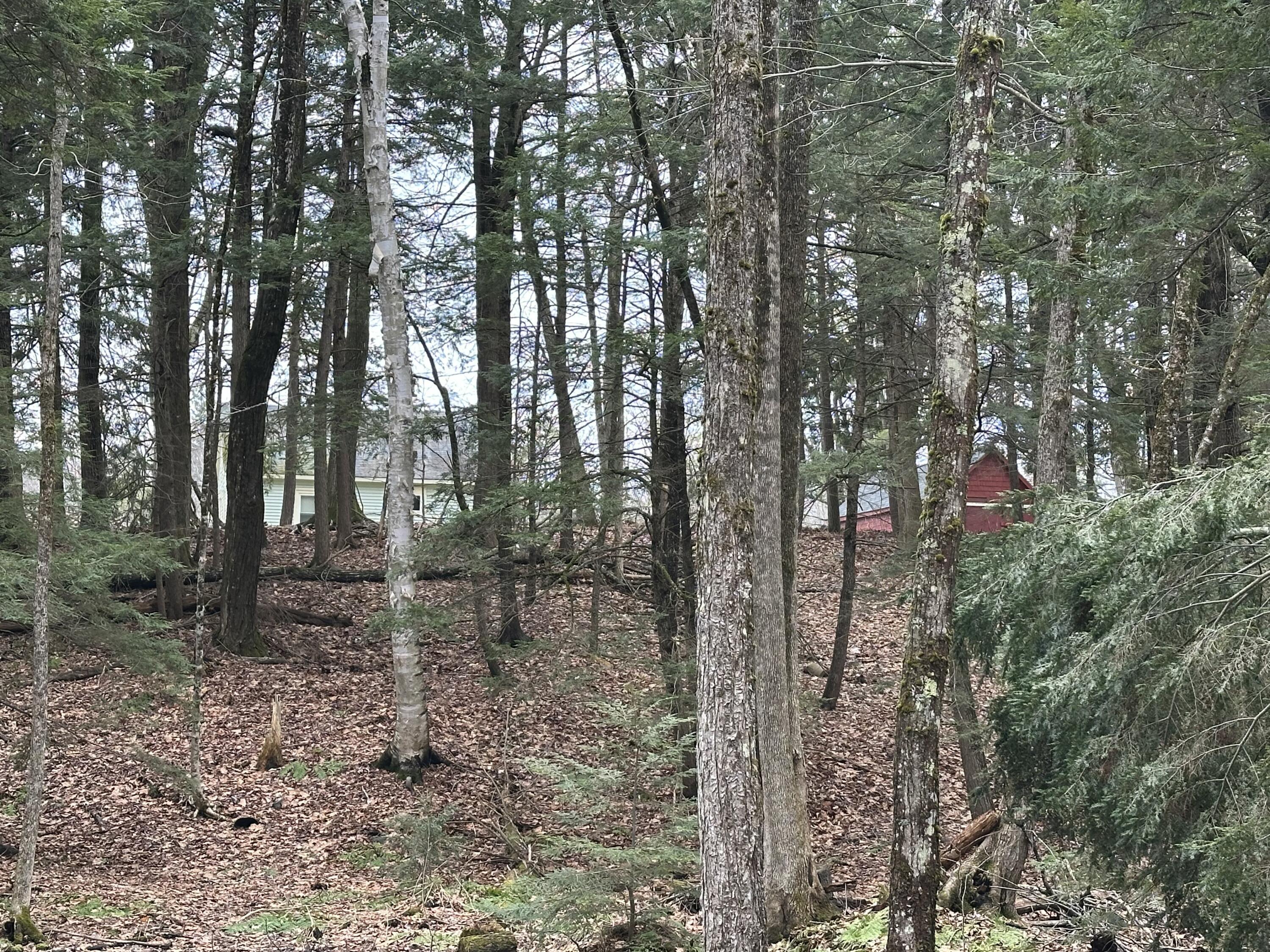 60 Mechanic Falls Road Poland, ME 04274 - Photo 53 of 58 08B8B347-3061-4272-BDBB-D92FA8600A42