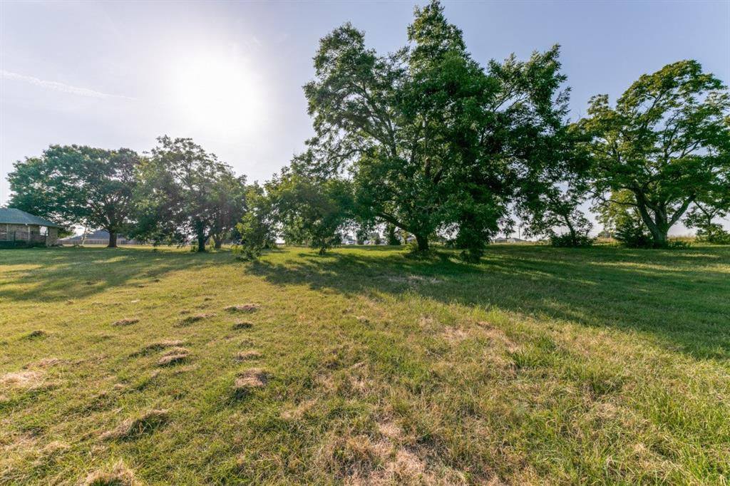 3917 Chiesa Road Rowlett, TX 75088 - Photo 7 of 8