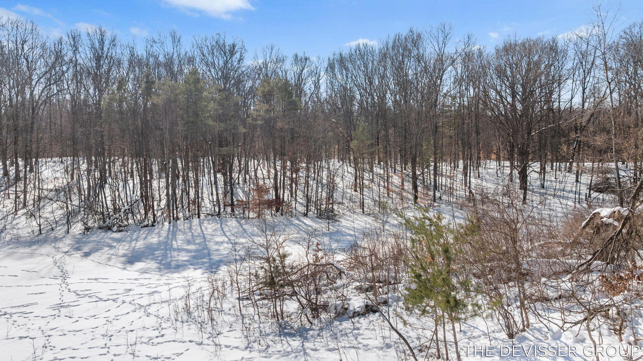 A A Rolling Ridge Road Allegan, MI 49010 - Photo 18 of 22 20-web-or-mls-12