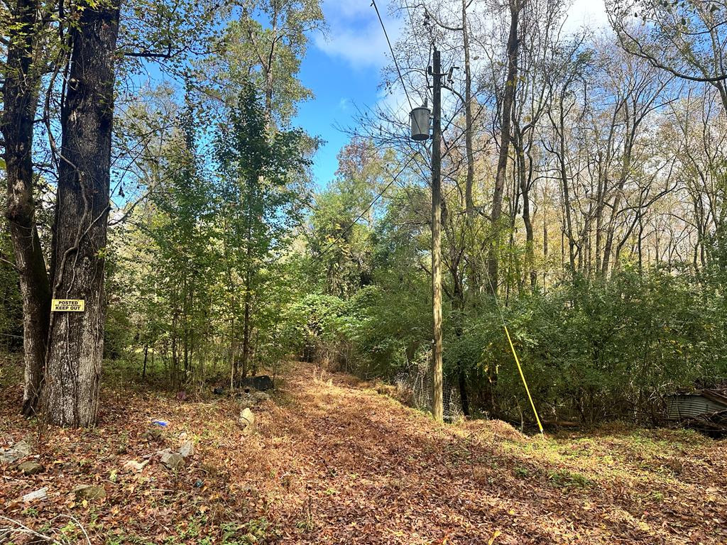 9933 Wylie Road Hopkins, SC 29061 - Photo 1 of 13