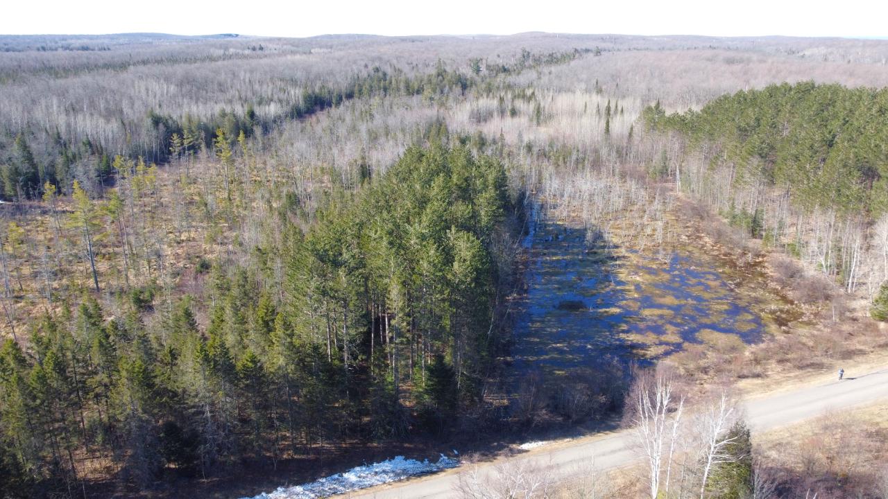 8 South Rd Crandon Wi 54520 Road Crandon, WI 54520 - Photo 20 of 38 Gallery Image 20