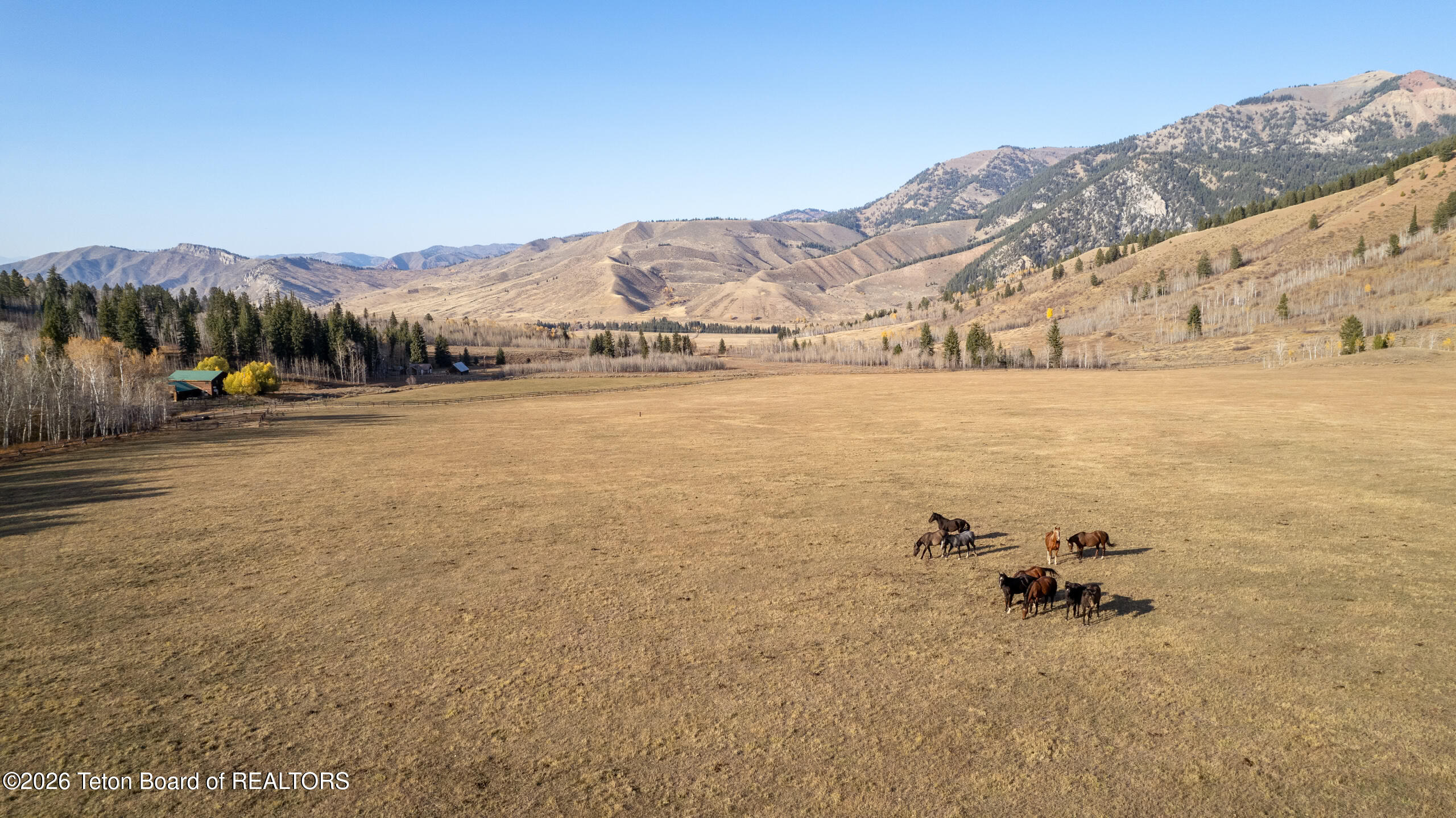 14925 South McCoy Road Jackson, WY 83001 - Photo 64 of 64 Horses