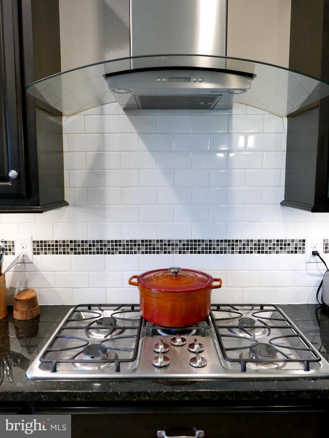 27980 Substation Road Denton, MD 21629 - Photo 15 of 48 5 burner propane cooktop & hood