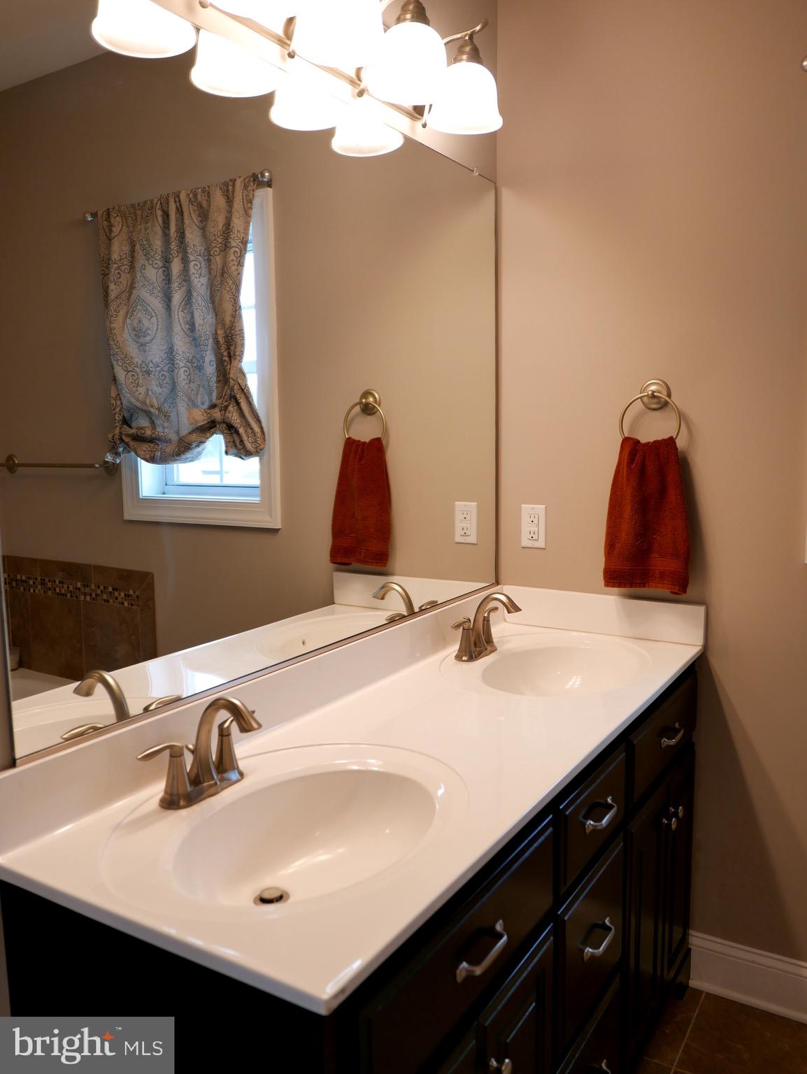 27980 Substation Road Denton, MD 21629 - Photo 35 of 48 Primary Bath with double sinks