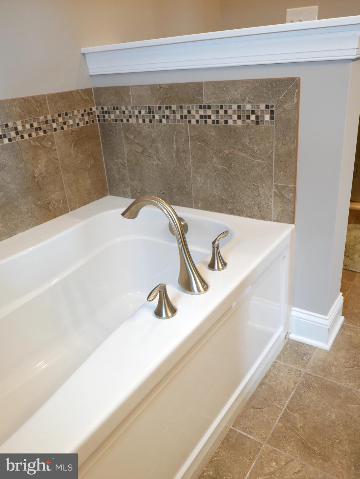 27980 Substation Road Denton, MD 21629 - Photo 36 of 48 Primary Bath Soaking tub