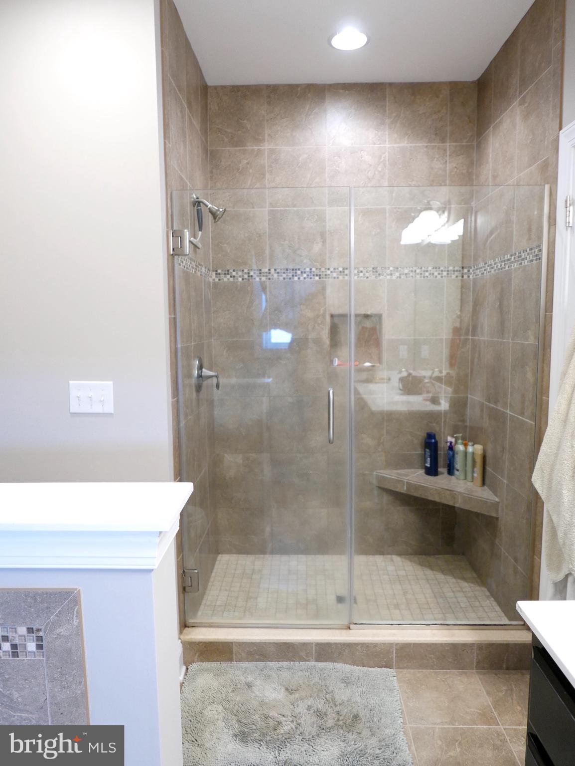 27980 Substation Road Denton, MD 21629 - Photo 37 of 48 Primary Bath Walk-in shower