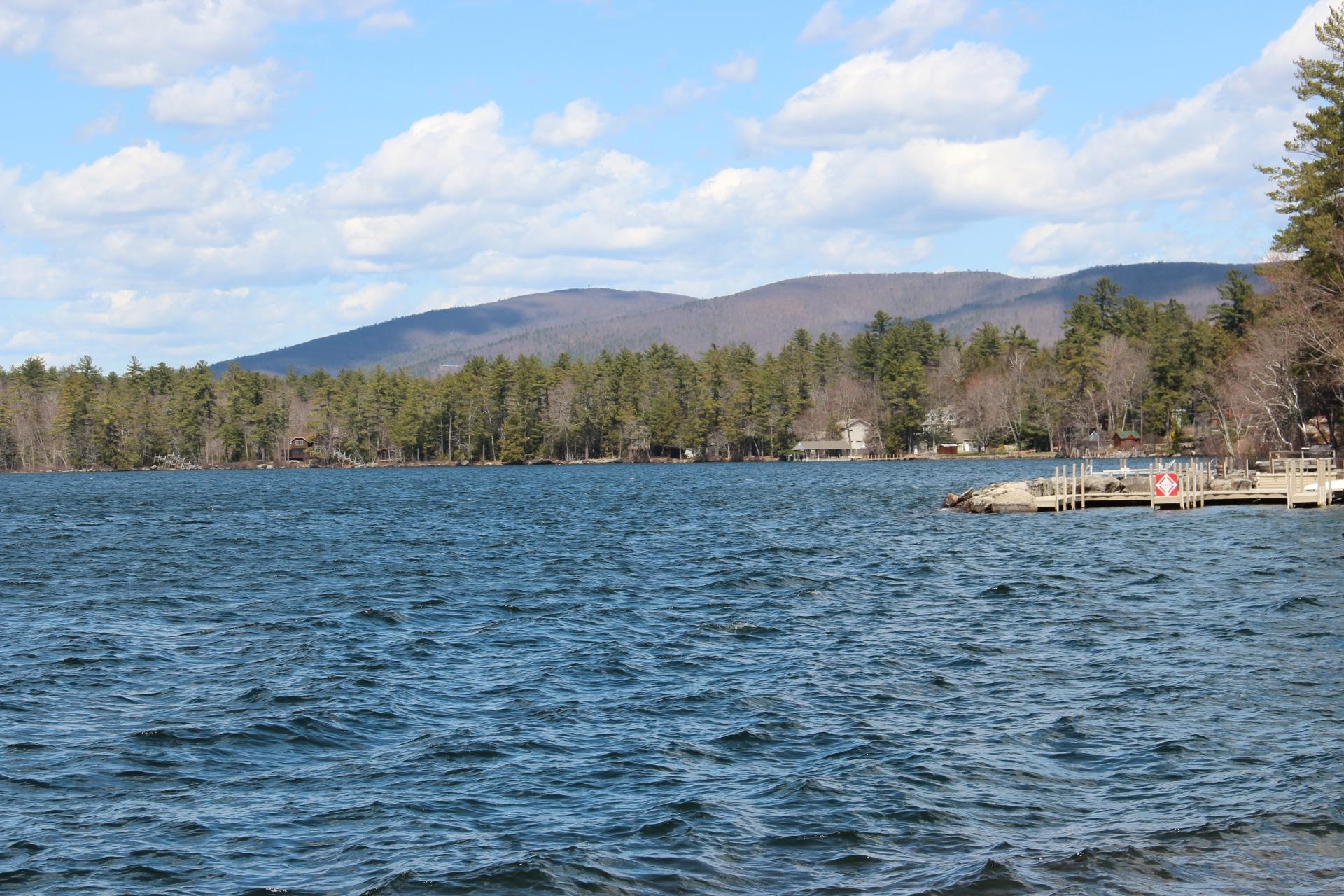 20 Tiger Trail Meredith, NH 03254 - Photo 6 of 18