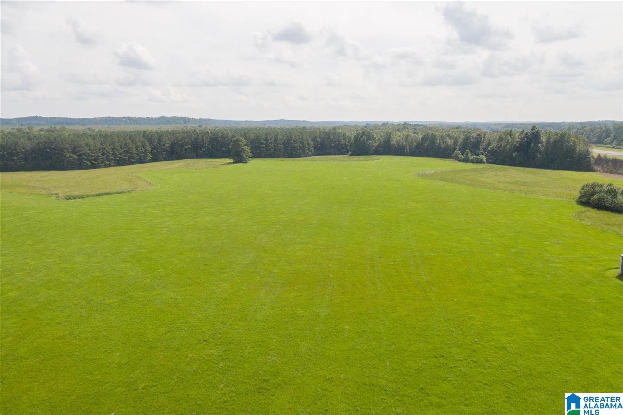 205 County Road 3 Reform, AL 35481 - Photo 13 of 46