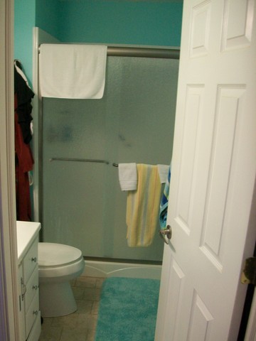 1224 Giese Road Batavia, IL 60510 - Photo 11 of 25 a bathroom with a toilet and a shower