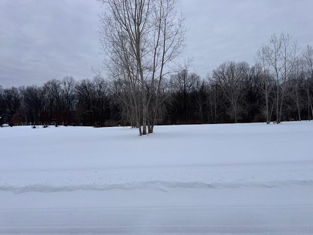 1964 Bridgets Way Gregory, MI 48137 - Photo 2 of 3 IMG_8369