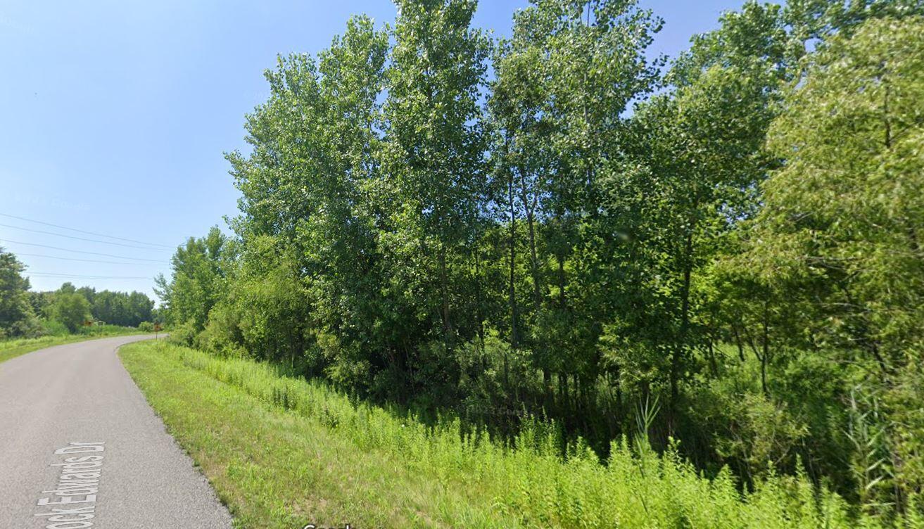 Edwards Road, Unit V/L Sodus, MI 49126 - Photo 5 of 5 Picture from Rock Edwards Drive