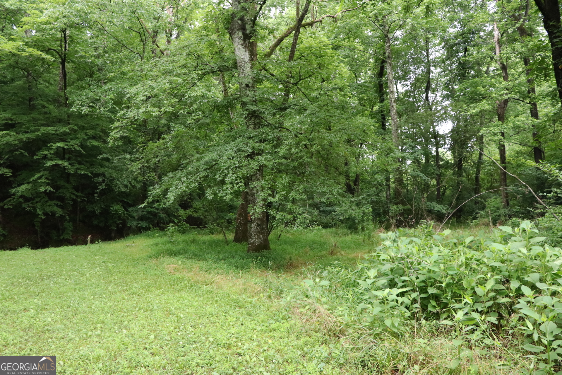 833 Neal Gap Road Summerville, GA 30747 - Photo 33 of 86