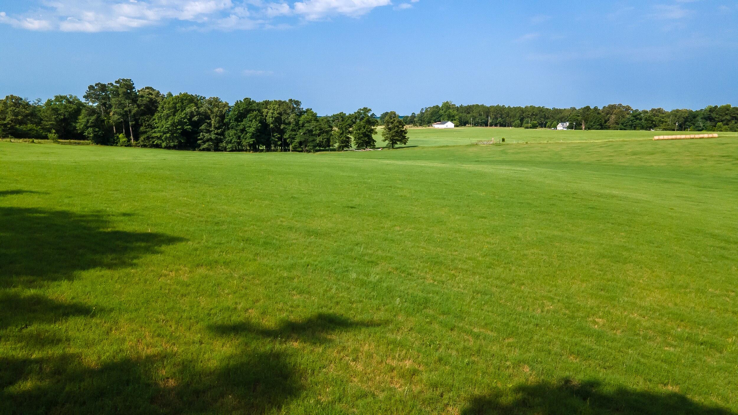 0 Cooks Bridge Road Aiken, SC 29801 - Photo 1 of 11