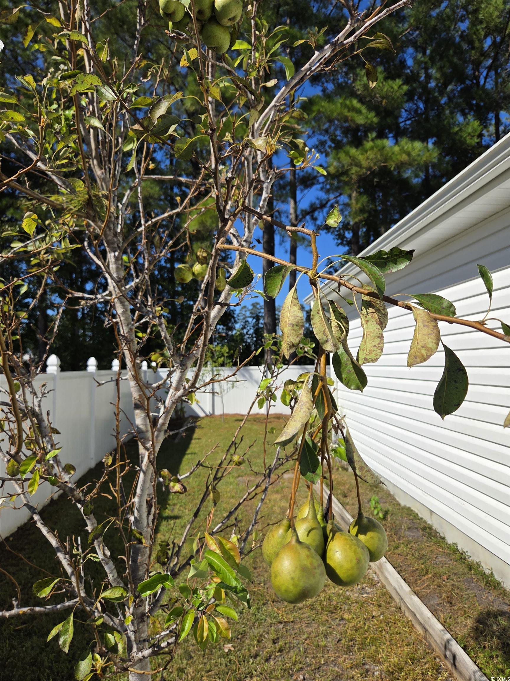 932 Eaglet Circle Conway, SC 29527 - Photo 37 of 40